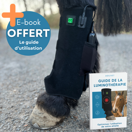 Attelle Thérapeutique PRO - Guide d’utilisation offert